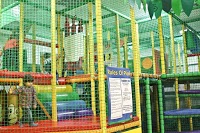 Jungle Versatile Indoor Play (Jungle V.I.P) 1081553 Image 6